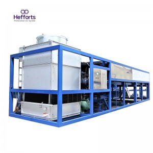 лесна поддръжка на иновативно решение голяма блокова ледена машина